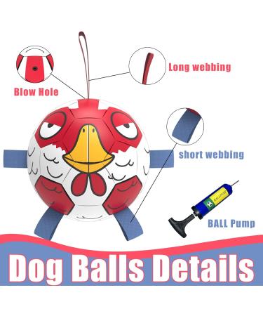 Hetoo Interactive Dog Toys | Durable Football with Gripping Bottles | Perfect for Small & Medium Breeds | Water Toys for Indoor & Outdoor Play - Large Size 3 Angry-Chick - Buy Online on SooperMarket.com