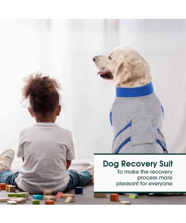 Kuoser Dog Recovery Body Suit for Male Dogs - Post-Surgery Protective Wear Breathable Leak-Proof Anti-Licking - Size XL Gray (1 Pack) - Buy Online on SooperMarket.com