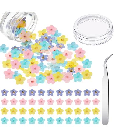 Natural Forget Me Not Dried Flowers Real Dried Pressed Flowers Don't Forget Me Dried Flowers for Jewelry Making with Tweezer for Nail Art Candle Epoxy DIY Resin Craft Decor  4 Colors(101 Pieces)