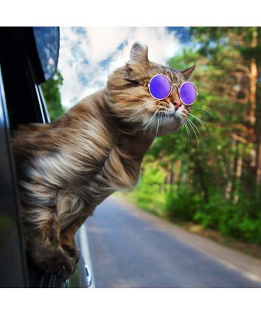 6-Piece Cat Sunglasses for Pets | Funny Retro Circular Eyewear for Small Dogs | Photos Props & Cosplay Glasses in Black & Mix Reflective Colors - Buy Online on SooperMarket.com