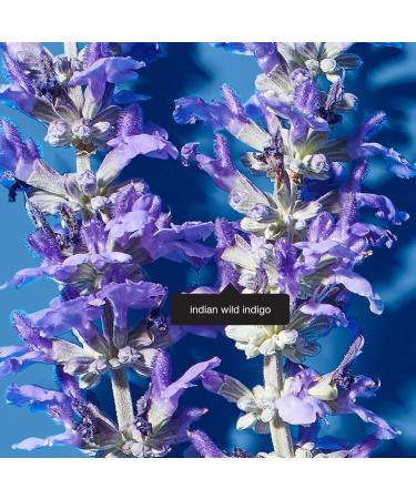 Fieldtrip Into the Blue Stress Less Moisturizer | Indian Wild Indigo | 2 fl oz | International Shipping Available - Buy Online on SooperMarket.com