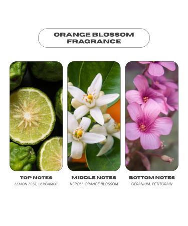 OUI the People FEATHERWEIGHT Hydrating Body Gloss - ORANGE BLOSSOM Serum Oil for Deep Hydration Softens & Firms Skin - Skin Barrier Boosting - 3.3 oz - Buy Online on SooperMarket.com