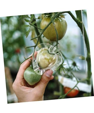 BCOATH 2 Sets Heart Shaped Tomato Mold Tomatoes Fruit Accessory Convenient Fruits Plastic Shaping Abrasives - Buy Online on SooperMarket.com
