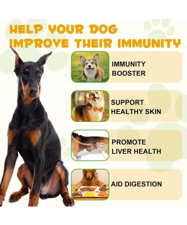 Natural Allergy Relief for Dogs - Herbal Drops for Itchy Skin & Seasonal Allergies - Supports Healthy Immune System - Bacon Flavor - 60ml - Buy Online on SooperMarket.com