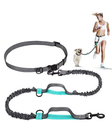 Nova Tree Hands Free Dog Leash with Adjustable Waist Strap-Dual Bungee & Handle Design - Perfect for Running Jogging Walking(Green)