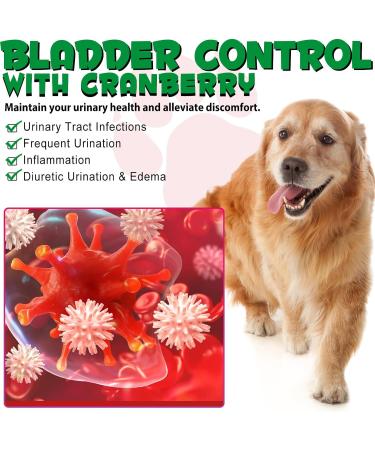 Dog Urinary Tract Infection Treatment Drops with Cranberry Extract - Supports Bladder, Kidney Stone Prevention & UTI - Bacon Flavor - 60ml - Buy Online on SooperMarket.com