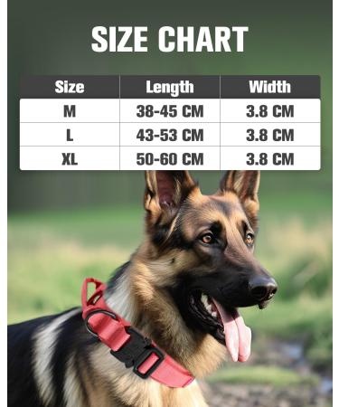 Joyal Tactical Dog Collar | Large Dog Collar with Handle & QR Code | Bright Pink XL - Durable & Stylish - Buy Online on SooperMarket.com