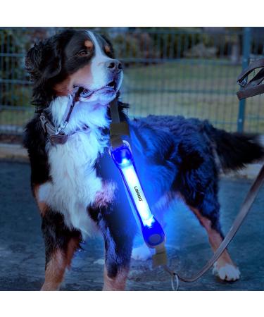 Laroo Safety LED Light Band for Dogs & Cats | Waterproof Easy-Fastening Blue Light for Collars & Dishes | Ideal for Outdoor Sports - Buy Online on SooperMarket.com