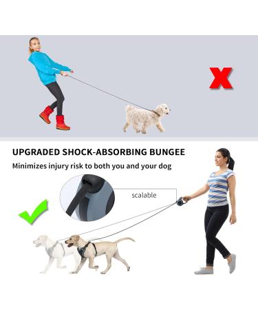 QKTYB Cat Dishes & Leash Set - Retractable Dog Leash & Cat Dishes for Kittens & Dogs (M Gray) - Perfect for Travel & Outdoor Adventures - Buy Online on SooperMarket.com