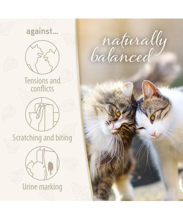 Felisept Family Comfort Relaxing Agent in Multi-Cat Household Plug-In Diffuser and Refill 45ml Starter Set - With natural catnip - Cat plug in calmer - Release tensions and reduce sustainably Starter Set (Diffuser + Refill 45ml) - Buy Online on SooperMarket.com