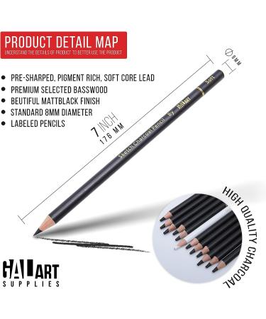 Galart Supplies Charcoal Drawing Set - 12 Piece Pre-Sharpened Pencils for Artists and Beginners | Soft, Medium, Hard, and White Charcoal Pencils for Drawing, Shading, and Sketching with Organizer Tray - Buy Online on SooperMarket.com