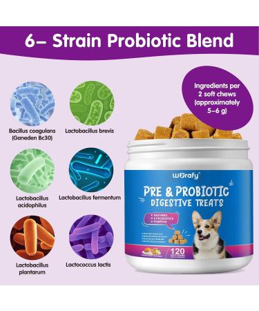 Tioueo Probiotic Digestive Chews 120pcs - Digestive Harmony, Skin Comfort, Allergy Relief, Immune Boost for Dogs - Ultimate Canine Wellbeing - Buy Online on SooperMarket.com