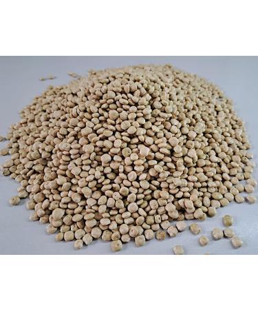 Lupine Seeds 500g - Quality Sweet Lupine Grain Germinable & Fresh from R tze Mill - International Shipping Available - Buy Online on SooperMarket.com