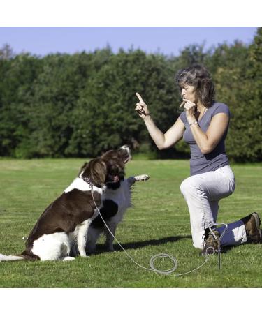 Dog Stake and Tie Out Cable Heavy Duty Stainless Steel Spiral Ground Spike Stake 2 PCS Outdoor Dog Camping Tie Out Lead Leash with & Whistle for Dog Playing Camping and Backyard in Ground - Buy Online on SooperMarket.com