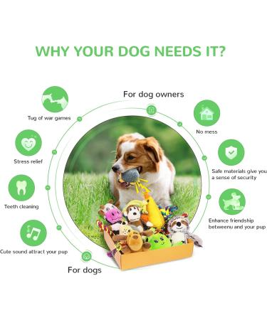 12 Piece Cute Plush Squeak Dog Toys Set | Natural Cotton Puppy Rope & Chicken Tools for Pets | Perfect for Dogs & Puppies - International Shipping - Buy Online on SooperMarket.com
