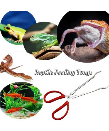 EvaGO 15 inch Black Aquarium Tweezers Stainless Steel Tweezer with Carbonation Protection Coating Against Rust Long Reptiles Feeding Tongs for Aquatic Plants Lizards Spider Snakes (15" Curved) - Buy Online on SooperMarket.com