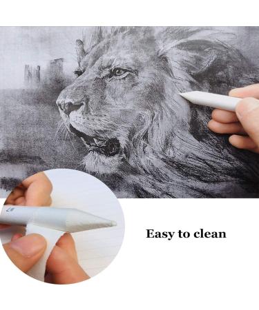 24 Pieces Blending Stumps & Tortillions Set with Sandpaper Sharpener, Pencil Extension, Eraser - Art Drawing Kit - Buy Online on SooperMarket.com