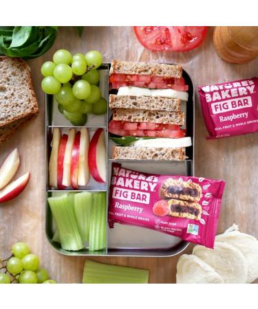 Nature's Bakery Fig Bar - 40 Pack, 5 LBS - 40 Count Pack - Delicious Snack Bars - Buy Online on SooperMarket.com