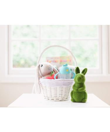 Made in USA Lollaland Weighted Straw Sippy Cup - Infant & Toddler Transition Cup | Shark Tank Product | Lollacup (Turquoise) with Straw Replacement Pack - Buy Online on SooperMarket.com