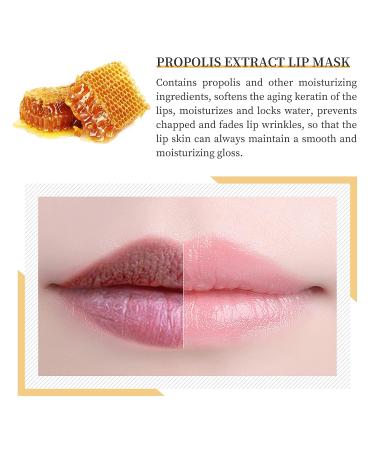LSxia Bee Balm Honey Lip Mask - Hydrating & Moisturizing Lip Care for Dry Cracked Lips - Buy Online on SooperMarket.com