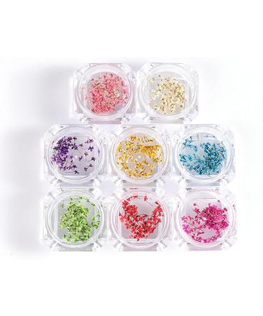 8 Boxes Dried Flowers for Nails | Nail Art Sticker Kit | DIY Nail Decoration Accessories - 8 Colors - Buy Online on SooperMarket.com