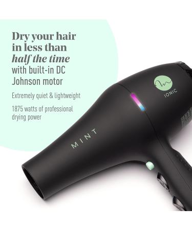 Professional Series Blackbird Infrared Ionic Hair Dryer | MINT 1875W Lightweight & Quiet Blow Dryer with Diffuser | Ceramic Tourmaline Salon-Grade Performance - Buy Online on SooperMarket.com
