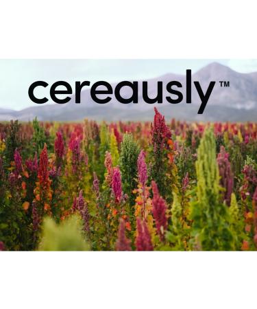 CEREAUSLY Organic White Quinoa Bulk - 10 Lb | Bolivian Royal Quinoa for Restaurants & Wholesale | NON-GMO, Kosher, Gluten-Free, Vegan - Buy Online on SooperMarket.com