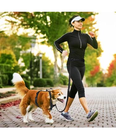Buy Speelulu 1.8m - 3M Multifunctional Hands-Free Dog Leash | Adjustable Hip Belt & Shoulder Leash for Training Hiking & Running | International Shipping Available - Buy Online on SooperMarket.com