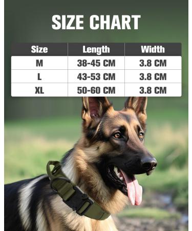 Joyal Tactical Dog Collar | Medium-Sized Dog Collar with Handle & QR Code | Army Green - Buy Online on SooperMarket.com