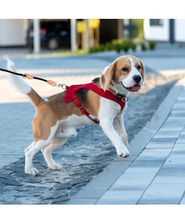 Rapidbok Adjustable Nylon Dog Leash - Durable Black Practice Leash for Small Medium and Large Dogs - Perfect for Courtyard & Freehand Use - Buy Online on SooperMarket.com