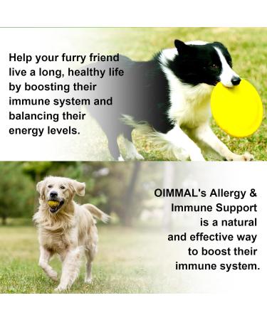 Natural Allergy Relief for Dogs - Herbal Drops for Itchy Skin & Seasonal Allergies - Supports Healthy Immune System - Bacon Flavor - 60ml - Buy Online on SooperMarket.com