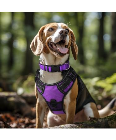 Joytale Reflective Dog Collar for Small Dogs - Purple (Size S) | Durable & Stylish - Perfect for Safe Outdoor Adventures - Buy Online on SooperMarket.com