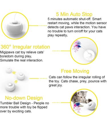 Migipaws Tunnel Cat Toy Set with Automatic Butterfly Play | Interactive Indoor Kitten Entertainment | Rechargeable & Innovative Design - Buy Online on SooperMarket.com