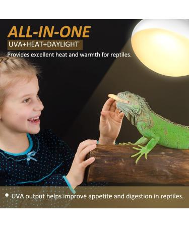 Caldarax 2 Pack Reptile Heat Lamp Bulb 50W E27 Daylight Basking Spot Bulb UV Heat Bulb for Reptiles Tortoise Bearded Dragon Snakes Lizards Chicks 50.0 - Buy Online on SooperMarket.com