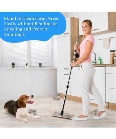 Pet Hair Remover & Lint Brush with Adjustable Long Handle | Carpet & Furniture Cleaner for Dogs & Cats - Black - Buy Online on SooperMarket.com