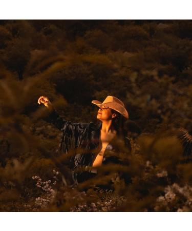 Lisianthus Wide Brim Cowboy Hat - Diamond Shaped Beige Medium - Unisex Western Outdoor Felt Hat - Buy Online on SooperMarket.com