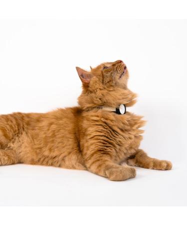 Lucybalu Premium Airtag Katzenhalsband | Tear-Resistant Nylon Collar for Cats | Apple Airtag Compatible | Durable Cat Tracker | Anthracite Design - Buy Online on SooperMarket.com