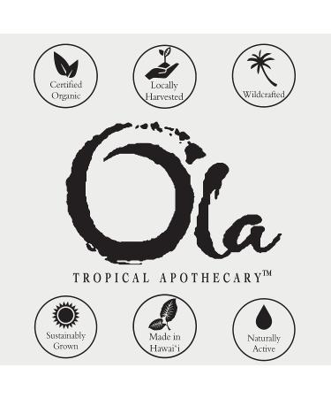 Ola Tropical Apothecary Passion Fruit Scented Hawaiian Sea Salt Bath Rituals - 2 oz | Exotic Spa Experience - Buy Online on SooperMarket.com