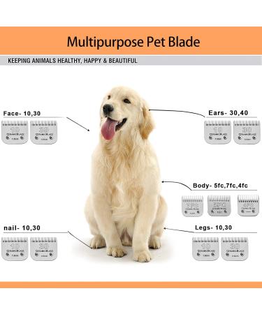 BestBomg Scherklingen for Pets - Rem removable Stainless Steel Ceramic Blades for Easter Animal Clipper & Andis Dog Clippers (6.3mm 5FC) - International Shipping - Buy Online on SooperMarket.com