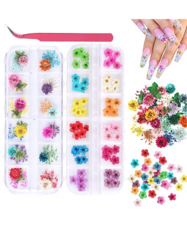 2 Boxes Dried Flowers for Nail Art  KISSBUTY 24 Colors Dry Flowers Mini Real Natural Flowers Nail Art Supplies 3D Applique Nail Decoration Sticker for Tips Manicure Decor (Gypsophila Flowers Daffodil)