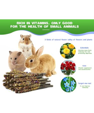 ABIZOO 18-Piece Rabbit Chew Toy Set | Natural Apple Sticks & Dental Care for Rabbits Hamsters & Guinea Pigs - Buy Online on SooperMarket.com