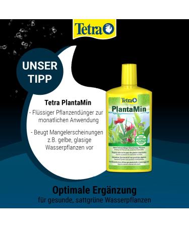 Tetra PlantaPro Liquid Plant Fertilizer 250ml - Essential Trace Elements & Vitamins for Thriving Aquarium Plants | Weekly Application - Buy Online on SooperMarket.com