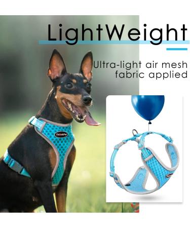 Thinkpet No-Pull Dog Harness Leash Set - Breathable Padded Reflective Safety Harness for Small Medium Large Dogs - Adjustable Running Harness (1 Pack) - Blue - Buy Online on SooperMarket.com