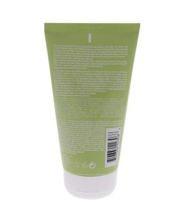 Origins Perfect World Antioxidant Cleanser - 5 oz Tea Tree - 1 Count - Buy Online on SooperMarket.com