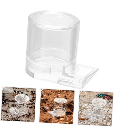 HAPINARY Pet Water Feeder Ant Waterer for Garden Ant Watering Station Ant Nest Supplies Transparent Plastic - Buy Online on SooperMarket.com