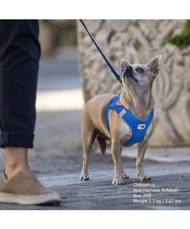 Buy XL Sky Blue Air-Mesh Vest Harness without D-Ring Buckle - Perfect for Pet Comfort & Style - Buy Online on SooperMarket.com