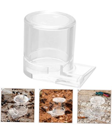 VILLFUL Pet Water Feeder Ant Waterer Ant Nest Water Cup Ants Food Dispenser Ant Feeding Cup Ant Water Feeders Ant Keeping Water Feeding Cup for Ant Nest Ant Nest Supplies Ant Feed Bowl - Buy Online on SooperMarket.com