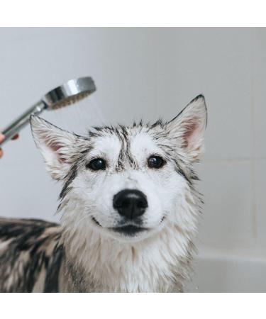 Iv San Bernard Trad Pek Conditioner 250 ml - Nourishing Dog Hair Care for All Breeds | International Shipping Available - Buy Online on SooperMarket.com