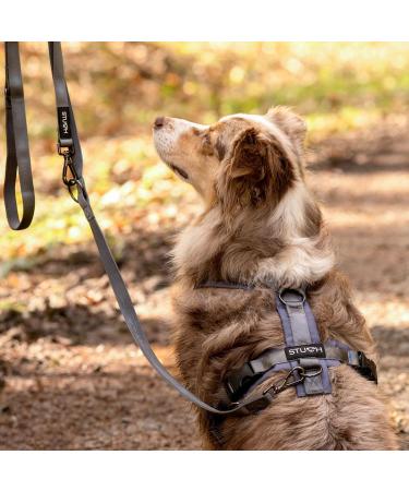Stuch Dog Harness - Adjustable Padded Nylon for Small Medium & Large Dogs - Beige XS - Buy Online on SooperMarket.com