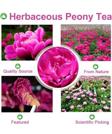 Plant Gift 100% Natural Herbaceous Peony Tea 30g Pink Peony Bud Flower Tea Healthy Dried Flowers for Soap Making Supplies Also for All Kinds of Flower Crafts - Buy Online on SooperMarket.com